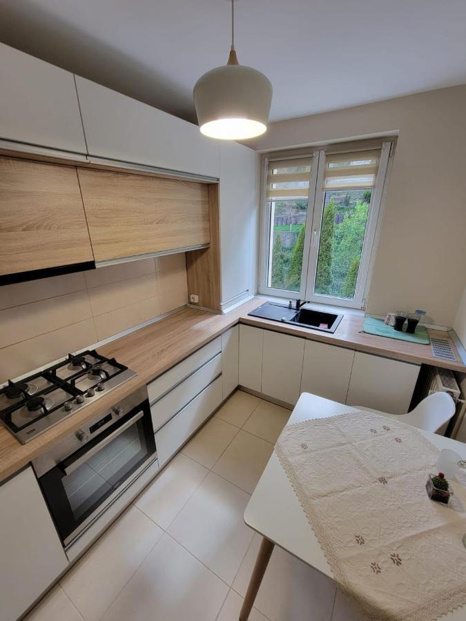 Downtown Recharge Spot Apartment Брашов Екстериор снимка